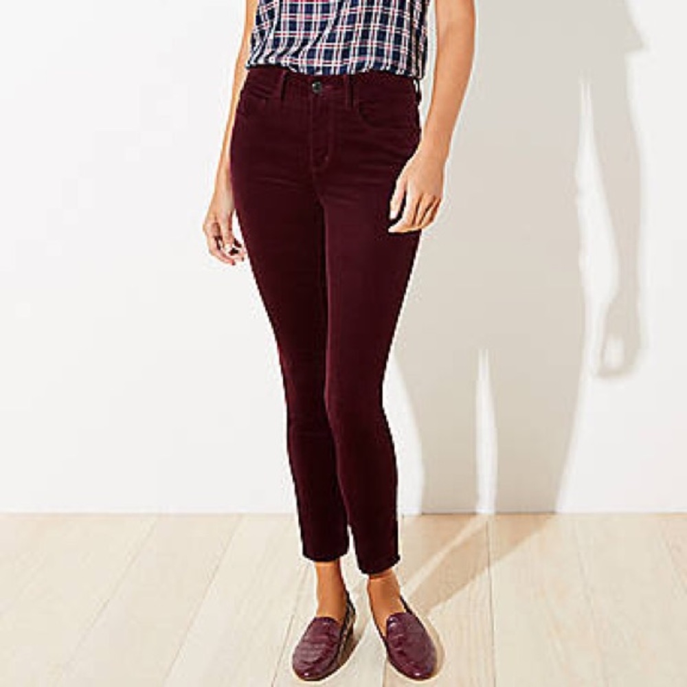NWT Loft curvy skinny cords
